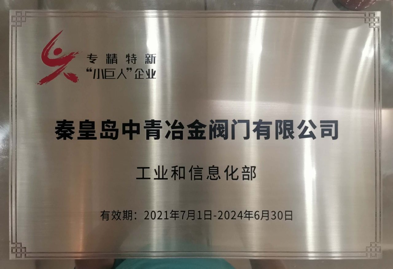 专精特新小巨人